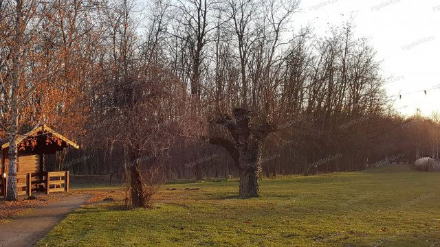 Eladó ipari ingatlan, Kecskeméten 230 M Ft / költözzbe.hu
