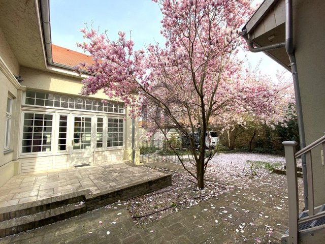 Kiadó családi ház, albérlet, Kecskeméten 805 E Ft / hó