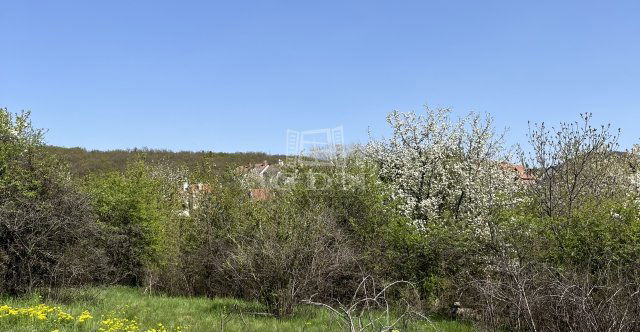 Eladó telek, Budakeszin 60 M Ft / költözzbe.hu