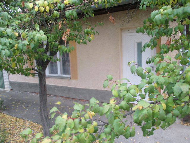 Eladó családi ház, Békéscsabán 22.5 M Ft, 3 szobás