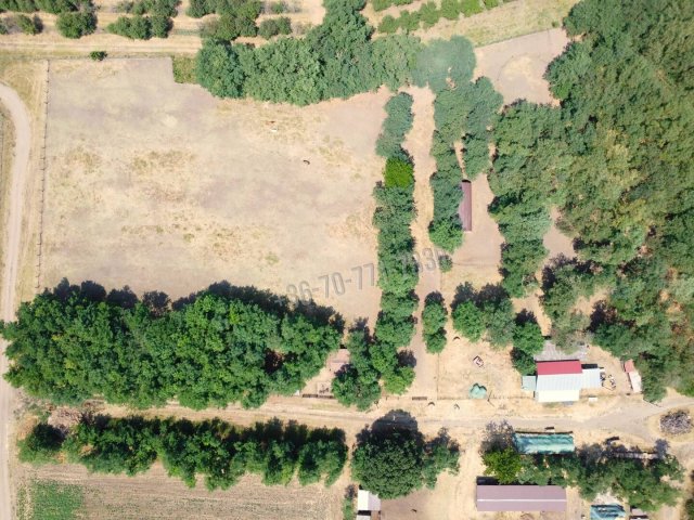 Eladó mezogazdasagi ingatlan, Tenken 32.9 M Ft