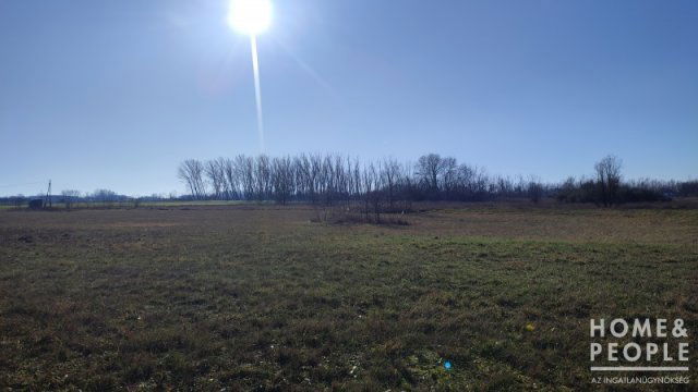 Eladó mezogazdasagi ingatlan, Szatymazon 7.9 M Ft