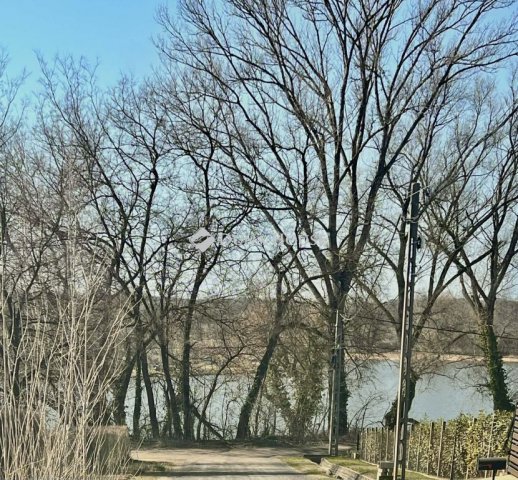 Eladó családi ház, Őrbottyánban, Rozmaring utcában 94.9 M Ft