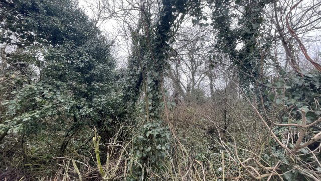 Eladó mezogazdasagi ingatlan, Nyúlon 19.5 M Ft