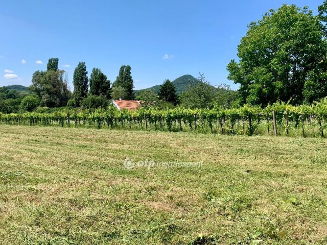 Eladó telek, Badacsonytomajon 35.9 M Ft / költözzbe.hu