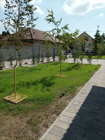 Eladó családi ház, Tiszakécskén 59.9 M Ft, 3 szobás