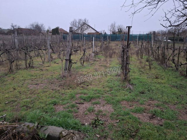 Eladó családi ház, Dányon 36 M Ft, 3 szobás