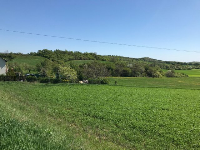 Eladó mezogazdasagi ingatlan, Pécselyen 12.9 M Ft