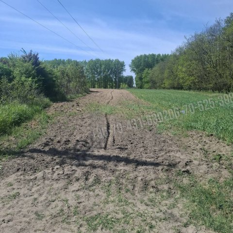 Eladó mezogazdasagi ingatlan, Albertirsán, Kakasi dűlőn 2.5 M Ft