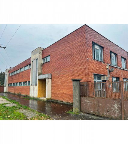 Eladó ipari ingatlan, Makón 310 M Ft, 1 szobás