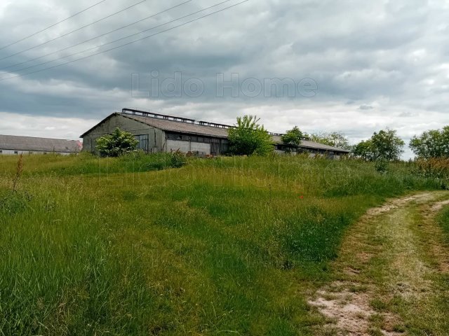 Eladó mezogazdasagi ingatlan, Zamárdiban 60 M Ft, 1 szobás
