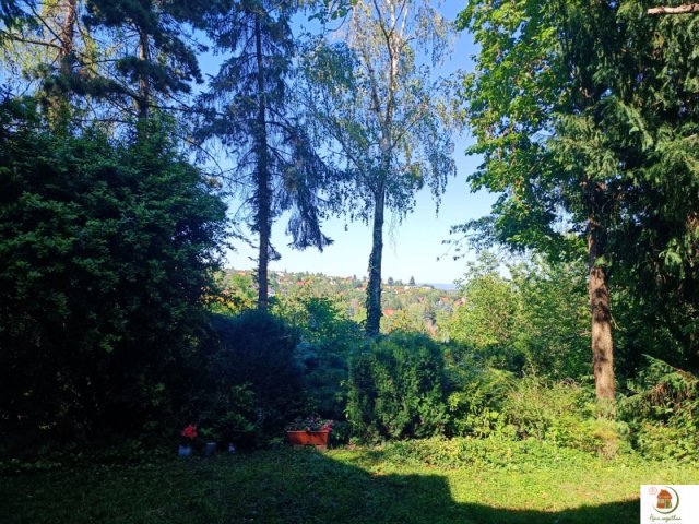 Eladó családi ház, Szentendrén 169 M Ft, 4 szobás