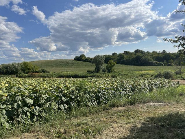 Eladó családi ház, Karádon 7.8 M Ft, 2 szobás