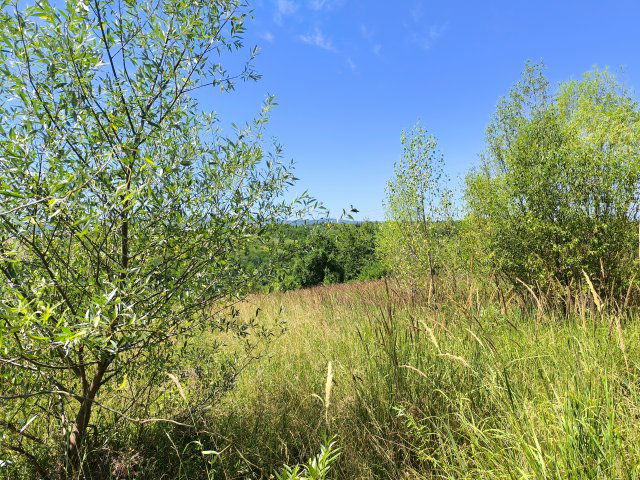 Eladó telek, Miskolcon 12.999 M Ft / költözzbe.hu