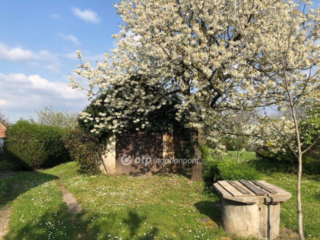 Eladó családi ház, Nyirádon 58 M Ft, 3+1 szobás