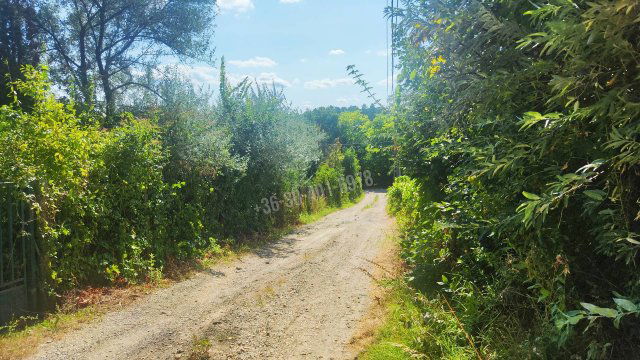 Eladó telek, Pátyon 25 M Ft / költözzbe.hu