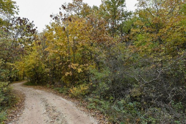 Eladó telek, Pécselyen 24.99 M Ft / költözzbe.hu