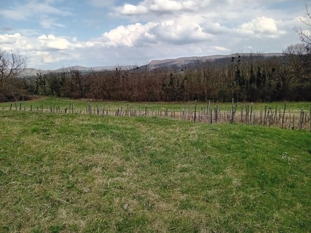 Eladó mezogazdasagi ingatlan, Karmacson 5.9 M Ft