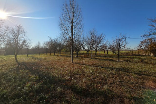 Eladó családi ház, Vámosgyörkön 6.9 M Ft, 2 szobás