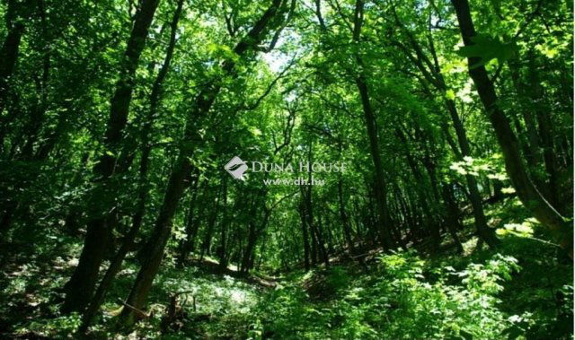 Eladó telek, Regenyén 3.5 M Ft / költözzbe.hu