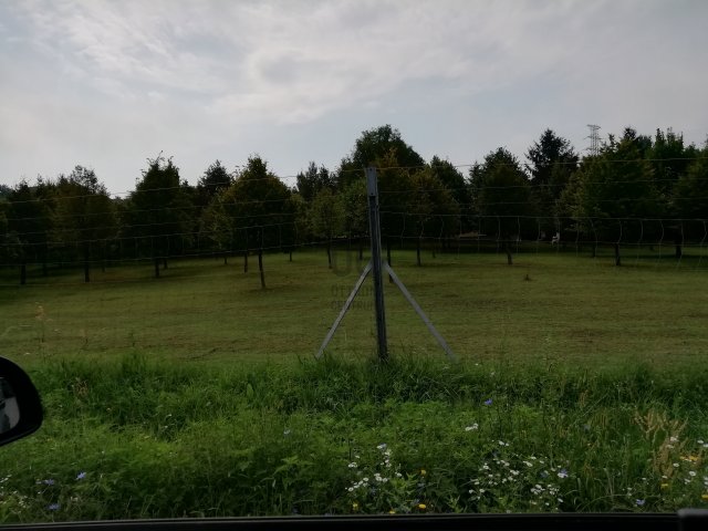Eladó telek, Oroszlányban 69 M Ft / költözzbe.hu