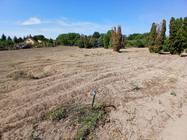 Eladó mezogazdasagi ingatlan, Cegléden 14.5 M Ft
