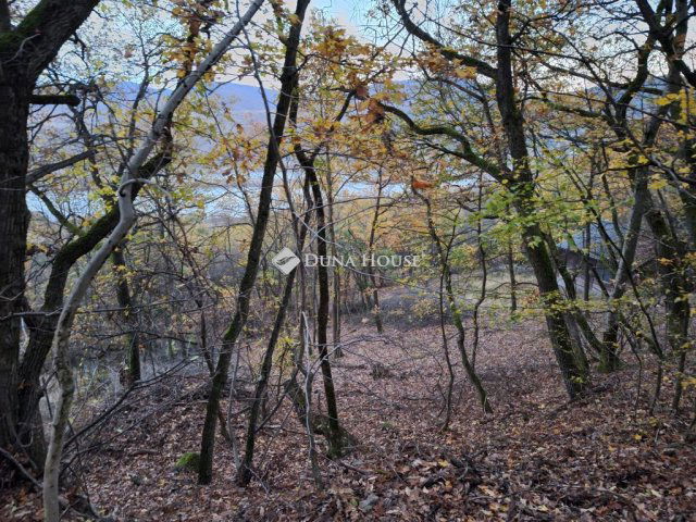 Eladó telek, Nagymaroson 29 M Ft / költözzbe.hu