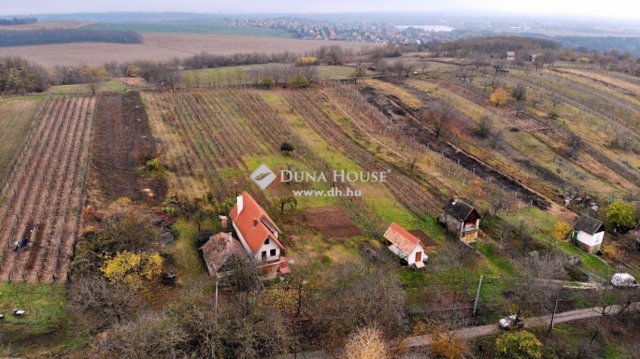 Eladó mezogazdasagi ingatlan, Környén 259.9 M Ft