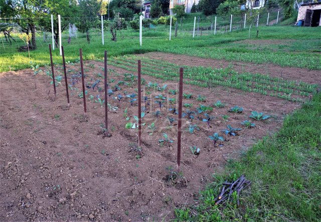 Eladó telek, Pogányon 3.49 M Ft / költözzbe.hu