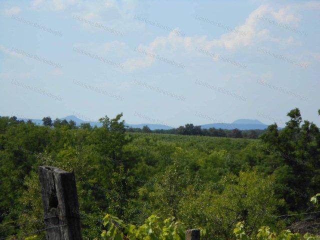 Eladó mezogazdasagi ingatlan, Balatonlelleén 17.9 M Ft