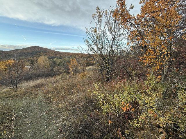 Eladó telek, Pomázon 7.524 M Ft / költözzbe.hu