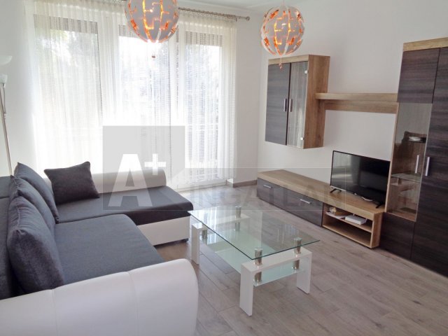 Kiadó téglalakás, albérlet, Szegeden 230 E Ft / hó, 3 szobás