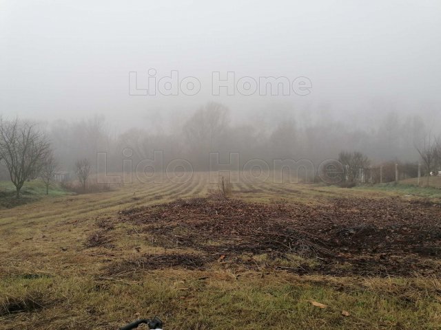 Eladó telek, Andorcson 3.5 M Ft / költözzbe.hu