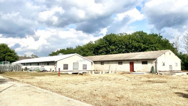 Eladó mezogazdasagi ingatlan, Dabason 150 M Ft