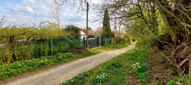 Eladó telek, Szentendrén 33 M Ft / költözzbe.hu