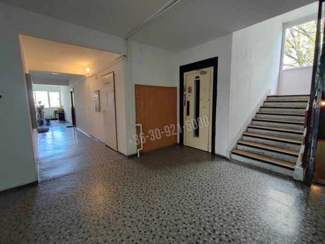 Eladó panellakás, Gödöllőn 49.9 M Ft, 1+1 szobás