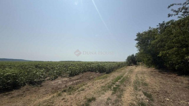 Eladó mezogazdasagi ingatlan, Pátyon 16.4 M Ft