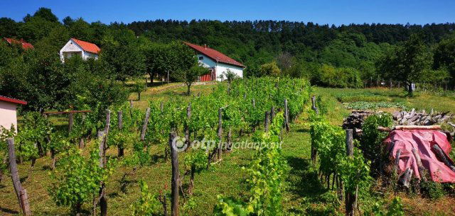 Eladó mezogazdasagi ingatlan, Magyarpolányban 15.5 M Ft