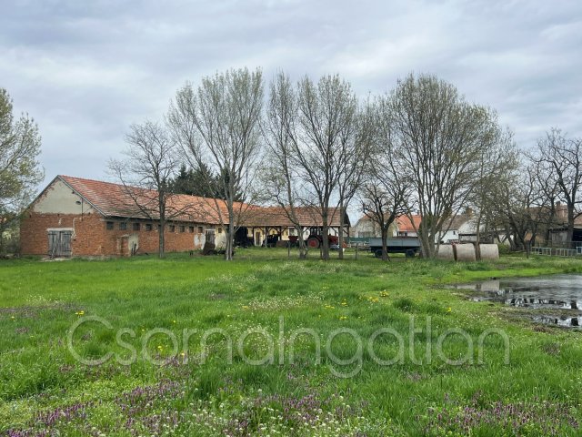 Eladó családi ház, Potyondon 57 M Ft, 2 szobás