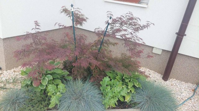 Eladó ikerház, Pilisjászfalun 97 M Ft, 2+2 szobás