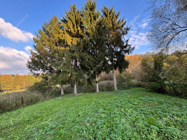 Eladó telek, Babosdöbrétén 4.4 M Ft / költözzbe.hu