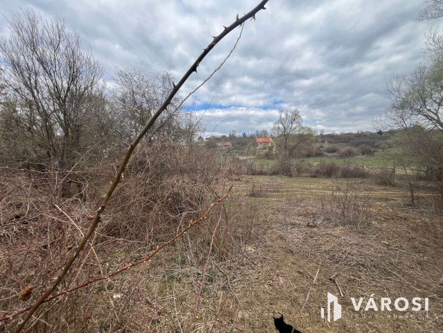 Eladó telek, Budakalászon 6 M Ft / költözzbe.hu