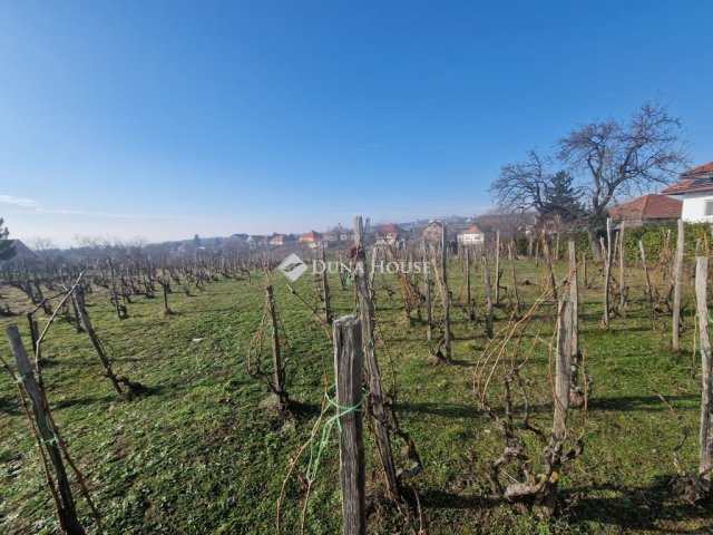 Eladó telek, Kővágószőlősön 14.5 M Ft / költözzbe.hu