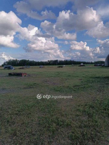Eladó mezogazdasagi ingatlan, Polgáron 350 M Ft