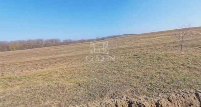 Eladó mezogazdasagi ingatlan, Fóton 24.9 M Ft