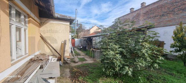 Kiadó családi ház, albérlet, Szegeden 230 E Ft / hó, 3+1 szobás