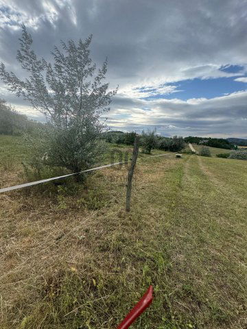 Eladó telek, Piliscsabán 82 M Ft / költözzbe.hu