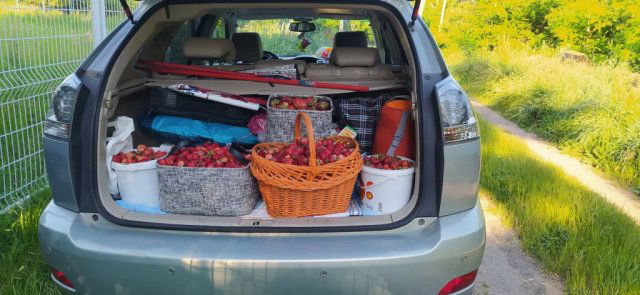 Kiadó telek, Budapesten, XVII. kerületben 140 E Ft / hó