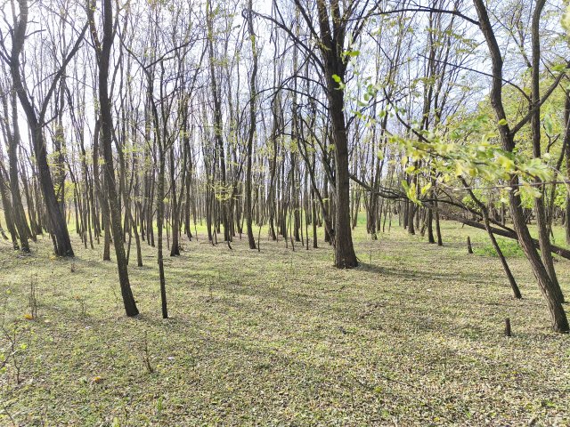 Eladó telek, Farmoson 9.9 M Ft / költözzbe.hu