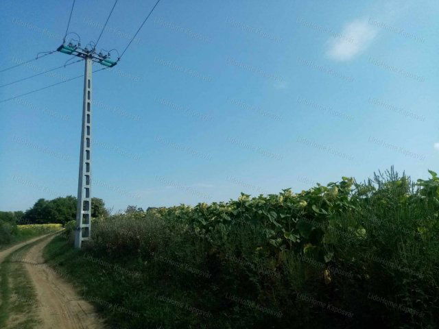 Eladó mezogazdasagi ingatlan, Igalon 2.99 M Ft